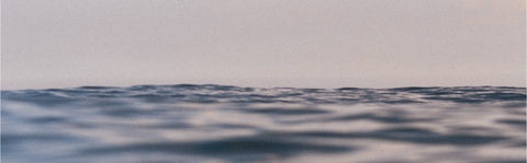 Men's Sustainable Collection